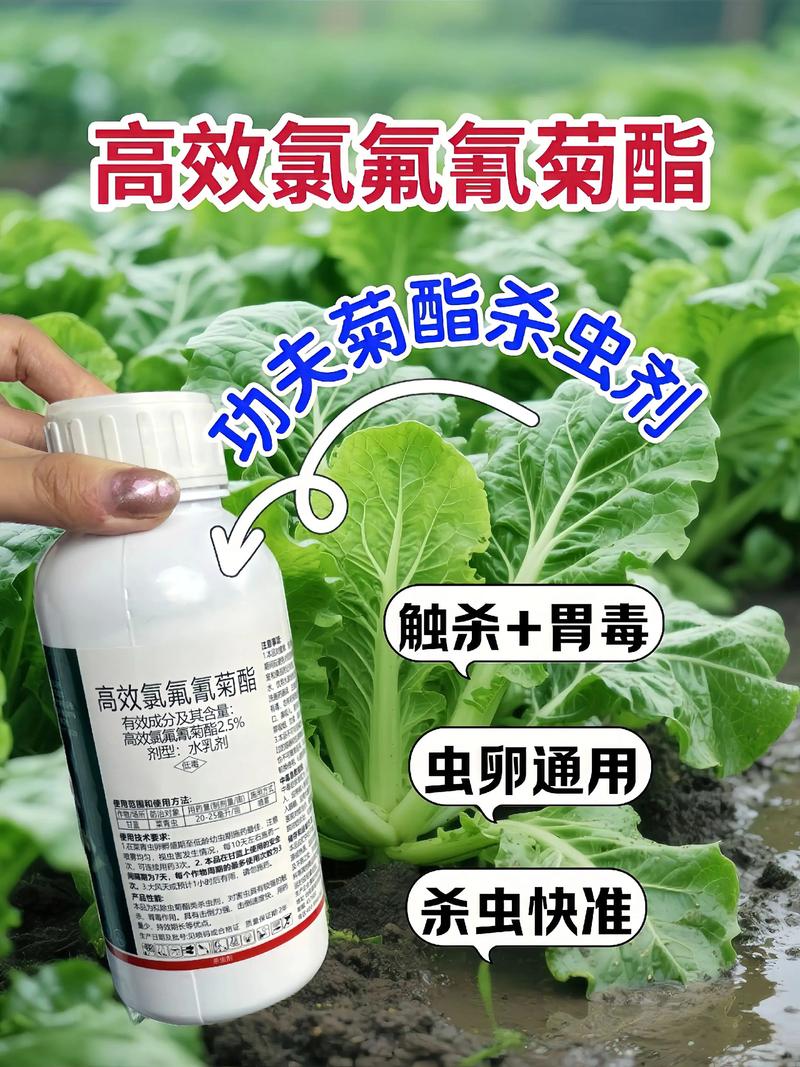 黑河代生中心:农药对供卵代生妈妈的危害